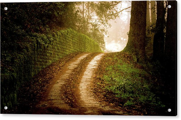 Road to Paradise at Half Moon Bay in California | Acrylic Prints by Micky Pandher