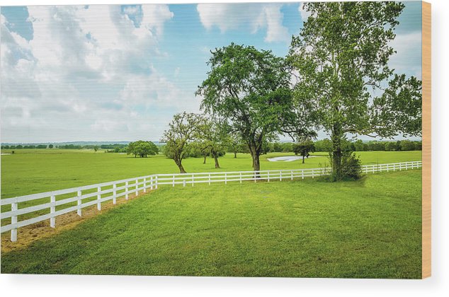 Beautiful Texas Countryside | Wood Prints by Micky Pandher