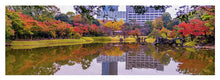 Load image into Gallery viewer, Shinjuku Gyoen
