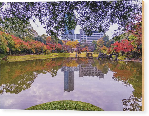 Shinjuku Gyoen