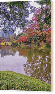 Shinjuku Gyoen