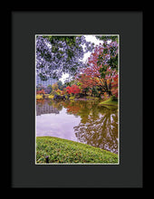 Load image into Gallery viewer, Shinjuku Gyoen
