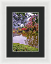 Load image into Gallery viewer, Shinjuku Gyoen
