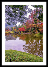 Load image into Gallery viewer, Shinjuku Gyoen
