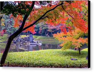 Shinjuku Gyoen - Canvas Print