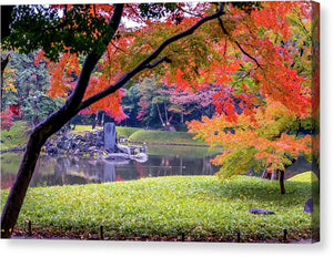 Shinjuku Gyoen - Canvas Print