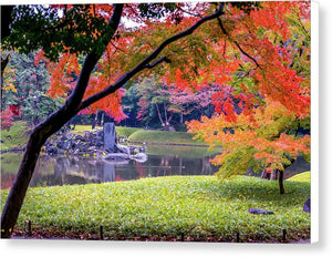 Shinjuku Gyoen - Canvas Print