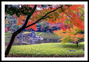 Shinjuku Gyoen - Framed Print