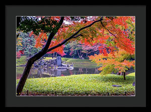 Shinjuku Gyoen - Framed Print