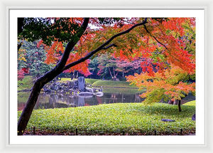 Shinjuku Gyoen - Framed Print