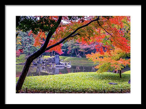 Shinjuku Gyoen - Framed Print