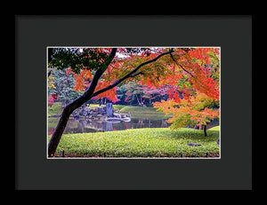 Shinjuku Gyoen - Framed Print