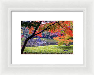 Shinjuku Gyoen - Framed Print