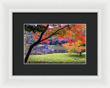 Load image into Gallery viewer, Shinjuku Gyoen - Framed Print
