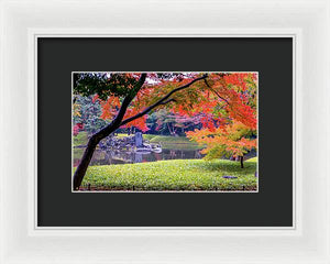 Shinjuku Gyoen - Framed Print