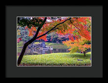 Load image into Gallery viewer, Shinjuku Gyoen - Framed Print
