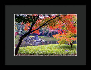 Shinjuku Gyoen - Framed Print