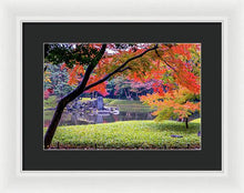 Load image into Gallery viewer, Shinjuku Gyoen - Framed Print
