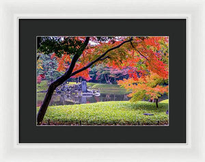 Shinjuku Gyoen - Framed Print