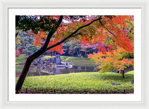 Shinjuku Gyoen - Framed Print