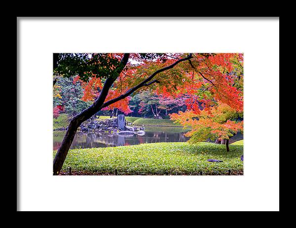 Shinjuku Gyoen - Framed Print