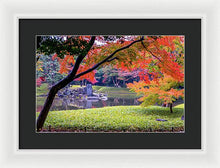 Load image into Gallery viewer, Shinjuku Gyoen - Framed Print
