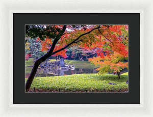 Shinjuku Gyoen - Framed Print