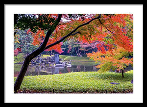 Shinjuku Gyoen - Framed Print