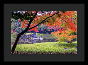 Shinjuku Gyoen - Framed Print