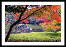 Load image into Gallery viewer, Shinjuku Gyoen - Framed Print
