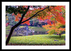 Shinjuku Gyoen - Framed Print