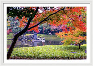 Shinjuku Gyoen - Framed Print