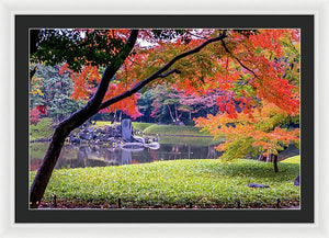 Shinjuku Gyoen - Framed Print