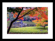 Load image into Gallery viewer, Shinjuku Gyoen - Framed Print
