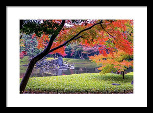 Shinjuku Gyoen - Framed Print