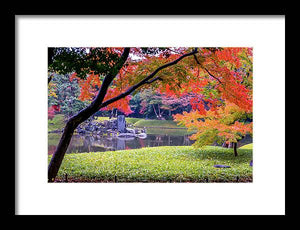 Shinjuku Gyoen - Framed Print