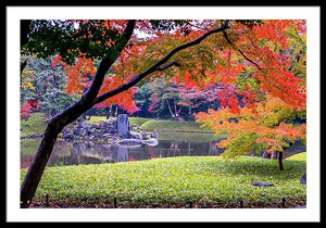 Shinjuku Gyoen - Framed Print