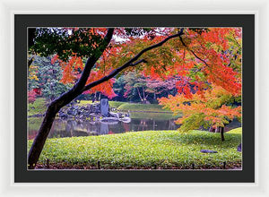 Shinjuku Gyoen - Framed Print