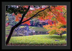 Shinjuku Gyoen - Framed Print