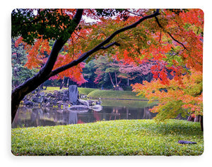 Shinjuku Gyoen - Blanket