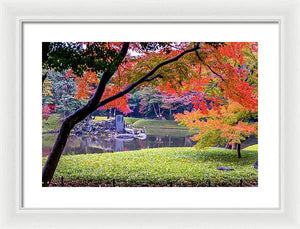 Shinjuku Gyoen - Framed Print