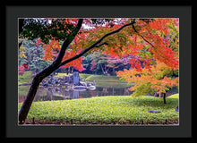 Load image into Gallery viewer, Shinjuku Gyoen - Framed Print
