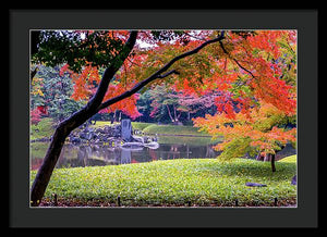 Shinjuku Gyoen - Framed Print