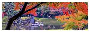 Shinjuku Gyoen - Yoga Mat