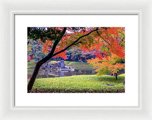 Shinjuku Gyoen - Framed Print