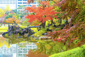 Shinjuku Gyoen