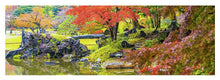 Load image into Gallery viewer, Shinjuku Gyoen
