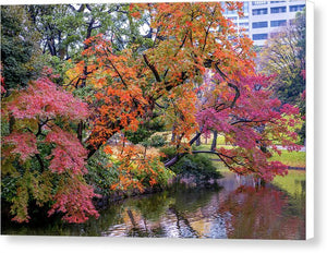 Shinjuku Gyoen