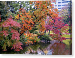 Shinjuku Gyoen