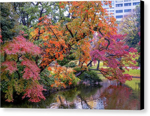 Shinjuku Gyoen